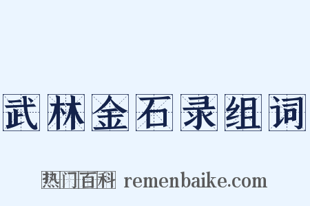 武林金石录组词是什么意思的图片
